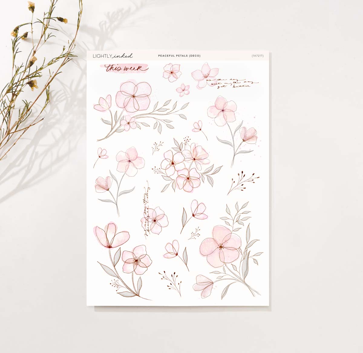 Peaceful Petals - Deco