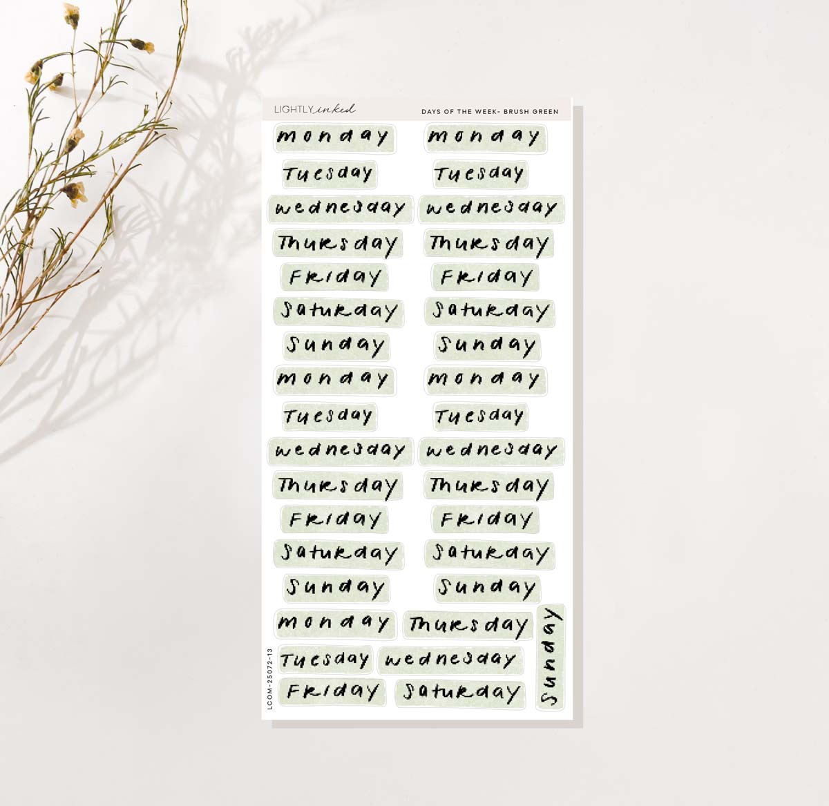 Days Of the Week- Brush Green