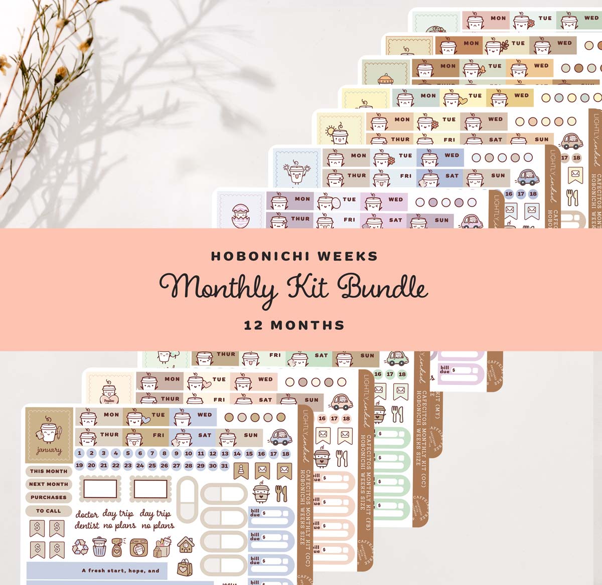 Cafecitos Weeks Monthly Kit- Bundle ( all 12 Months)