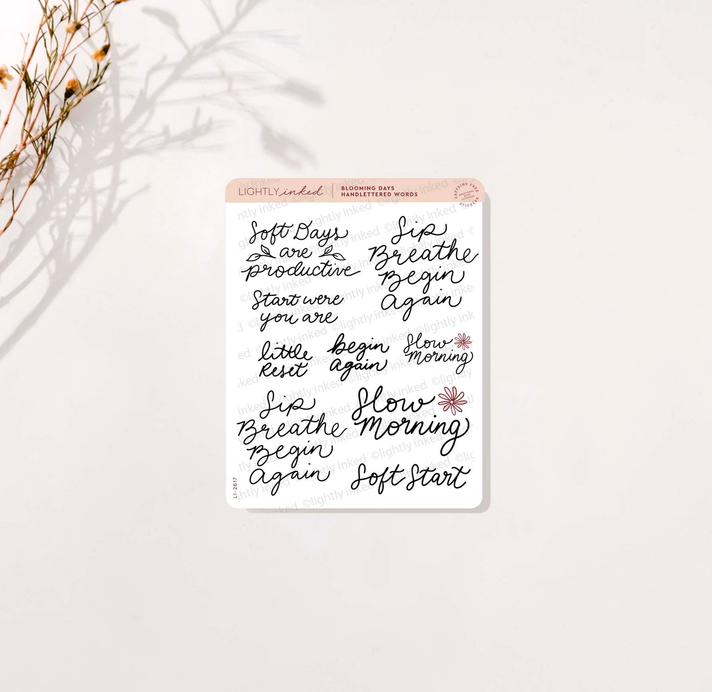Hand lettered Words