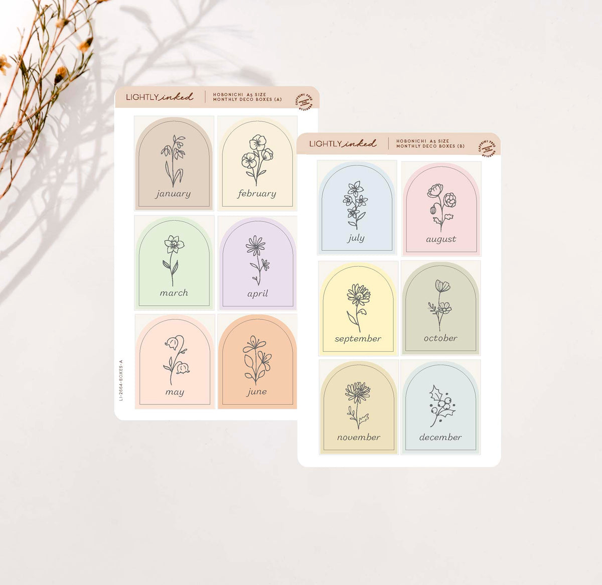 Monthly Flower Deco Boxes