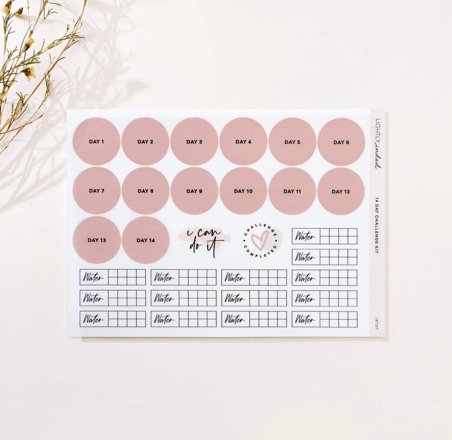 14 day Challenge Kit