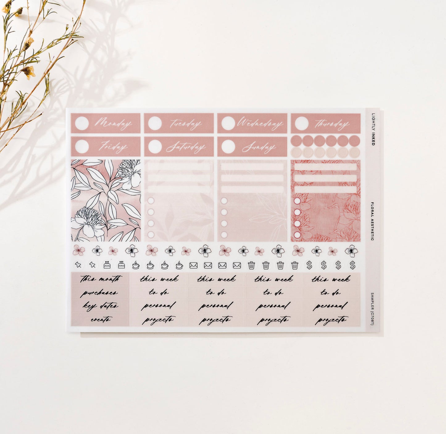 Floral Aesthetic - Sampler (C)