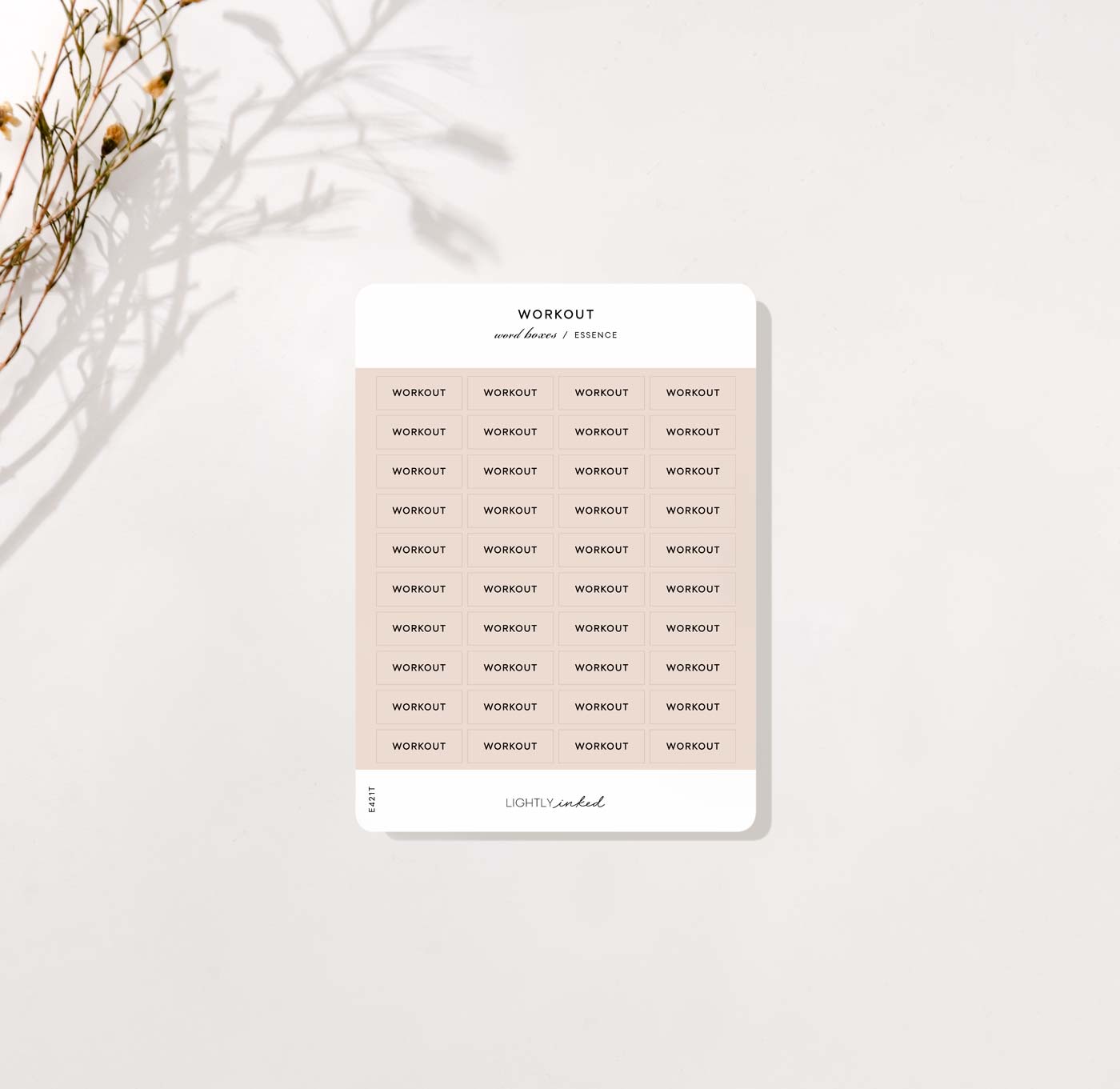 Word Boxes - Workout