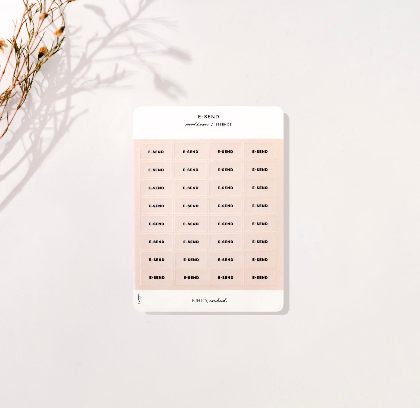 Word Boxes - E-SEND