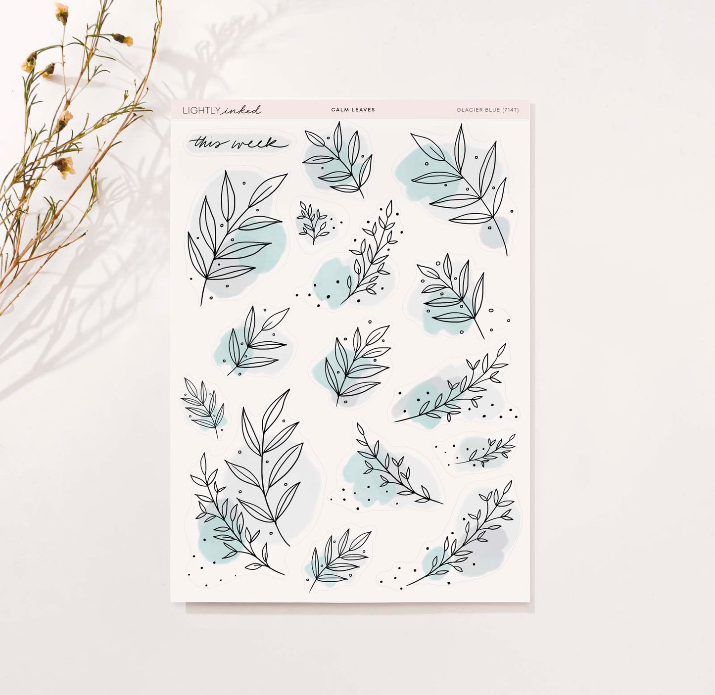 Calm Leaves