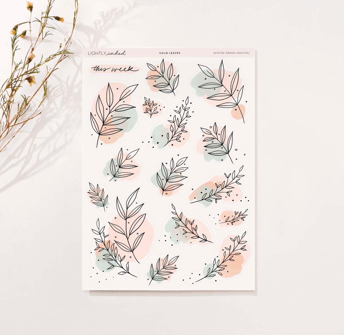 Calm Leaves