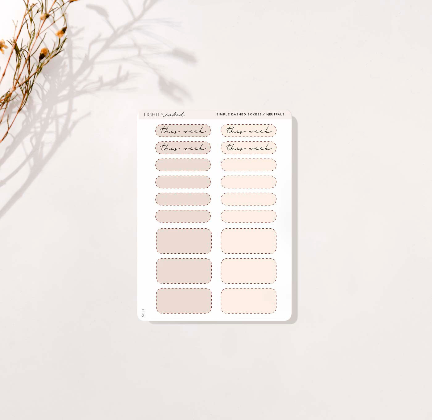 Simple Dashed Boxes / Neutrals