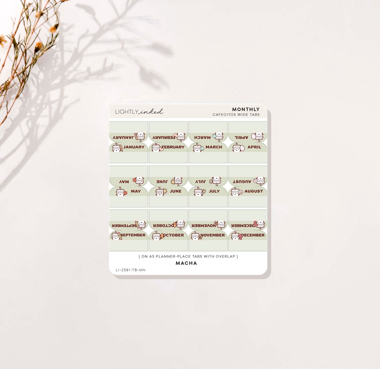 Monthly Tabs (Cafecito)- Wide