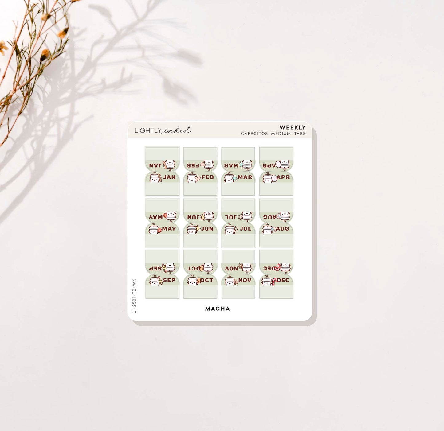 Weekly Tabs (Cafecito)- Medium