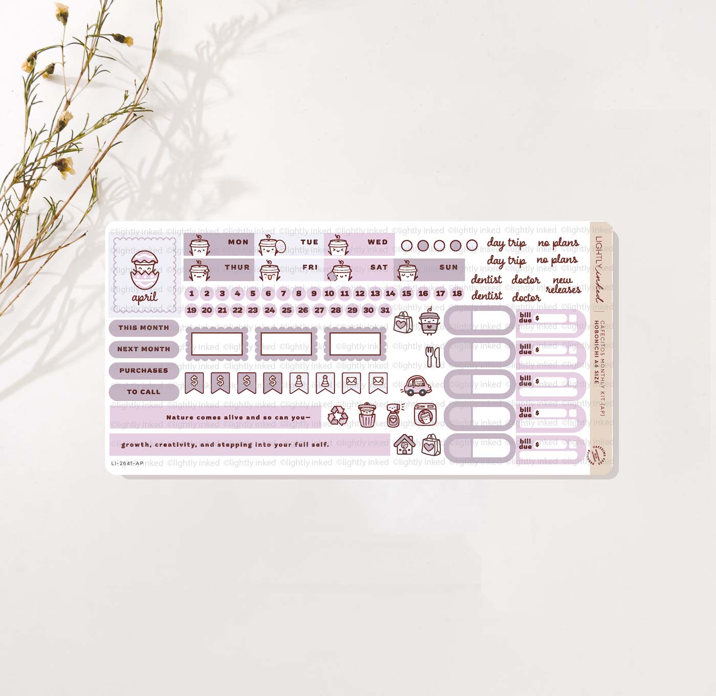 Cafecitos A6 Monthly Kits