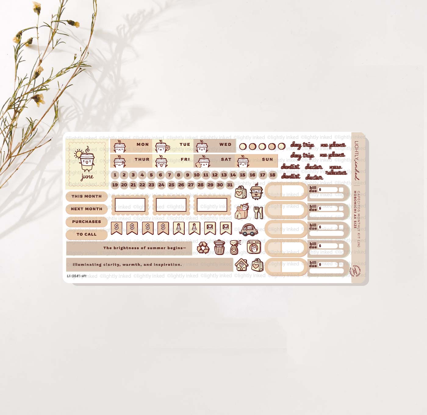 Cafecitos A6 Monthly Kits