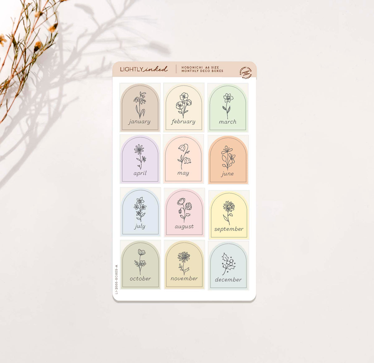 Monthly Flower Deco Boxes