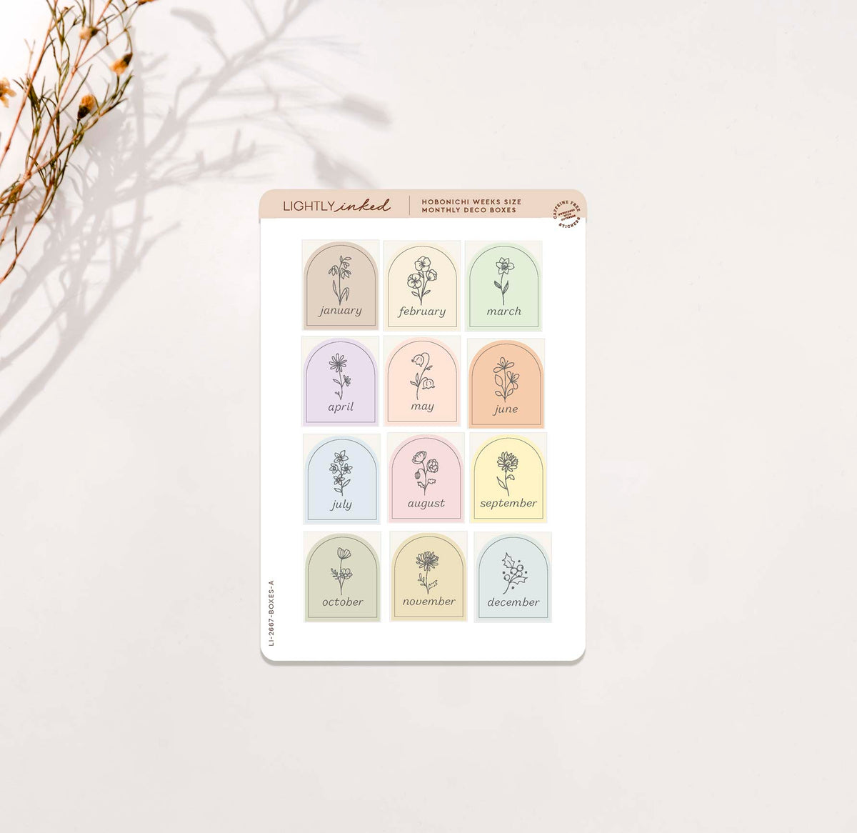 Monthly Flower Deco Boxes