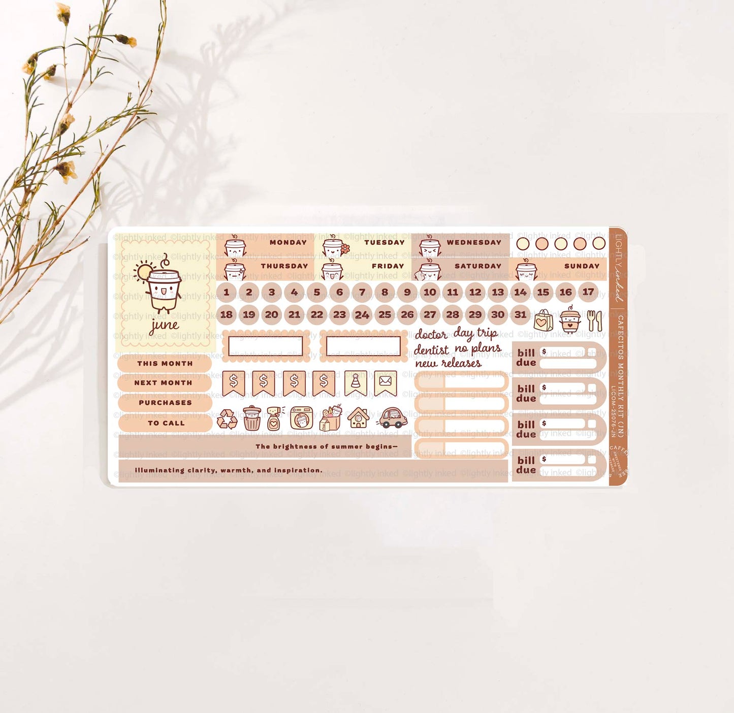 Cafecitos Monthly Kit- June